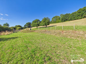 Field- click for photo gallery